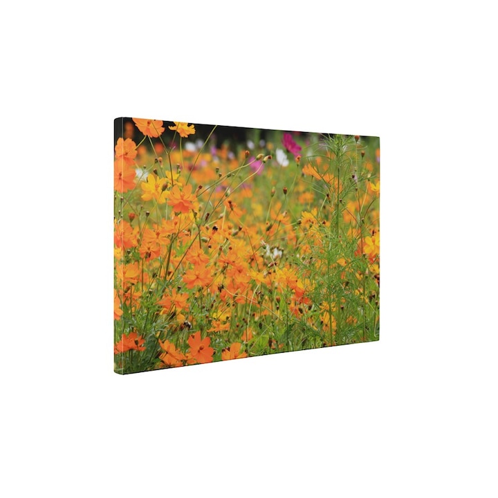 Narancs színű virágok vakrámás vászonkép - 60x75 cm