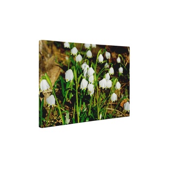Lacrimioare - Tablou Canvas - 60x80 cm Lacrimioare - Tablou Canvas - 60x80 cm