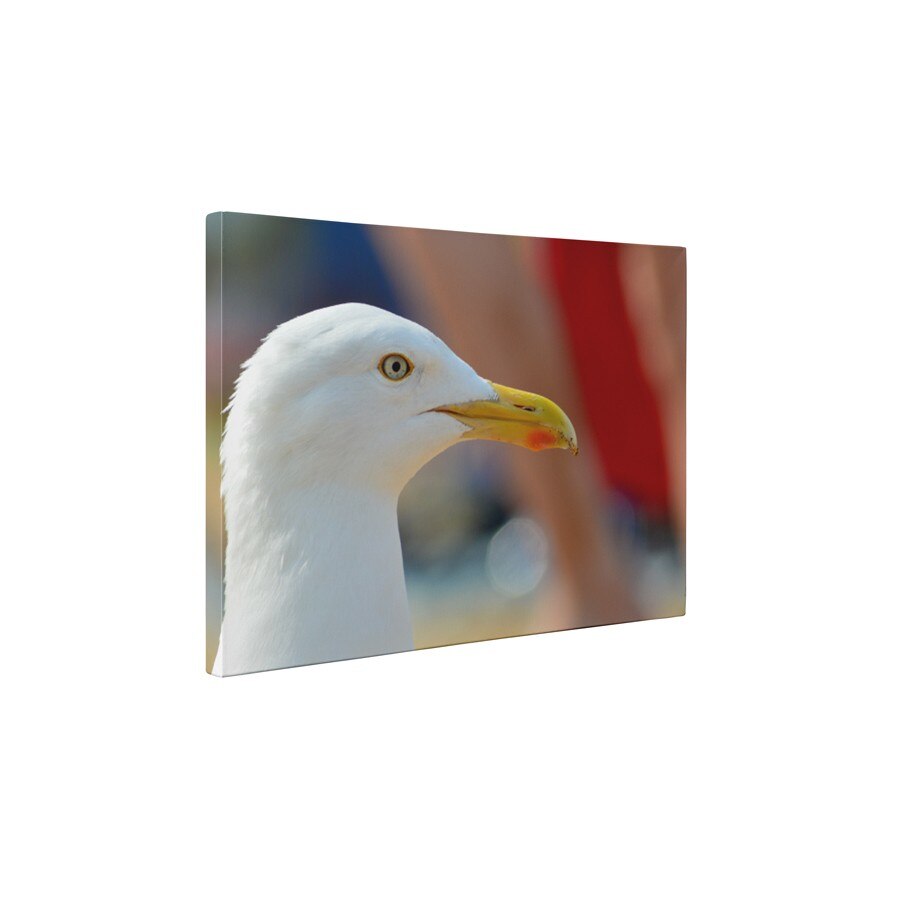 Portret de pescarus - Tablou Canvas - 60x80 cm