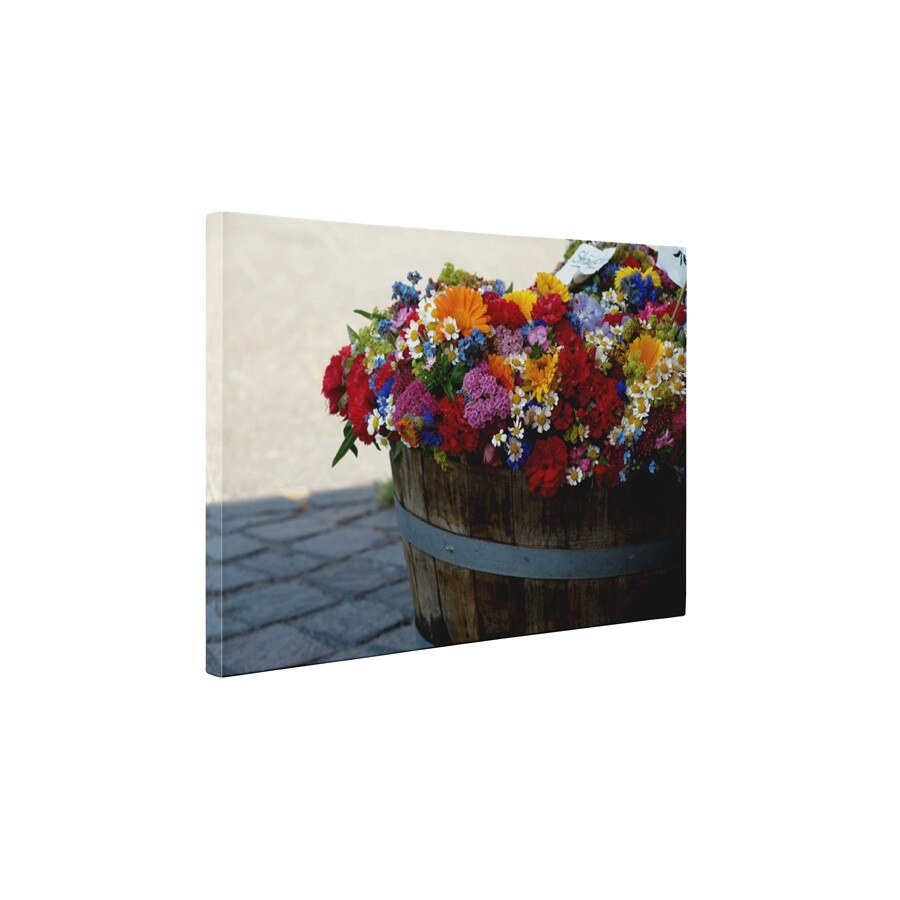 Flori colorate in butoi - Tablou Canvas - 60x75 cm