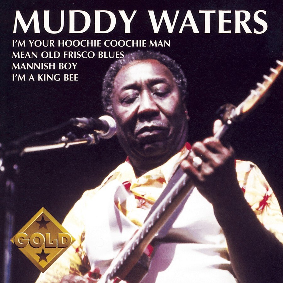 Muddy Waters-Muddy Waters-CD