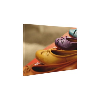 Balerini - Tablou Canvas - 90x120 cm Balerini - Tablou Canvas - 90x120 cm