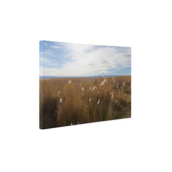 Campul - Tablou Canvas - 30x40 cm Campul - Tablou Canvas - 30x40 cm