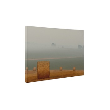 Recoltare - Tablou Canvas - 60x80 cm Recoltare - Tablou Canvas - 60x80 cm