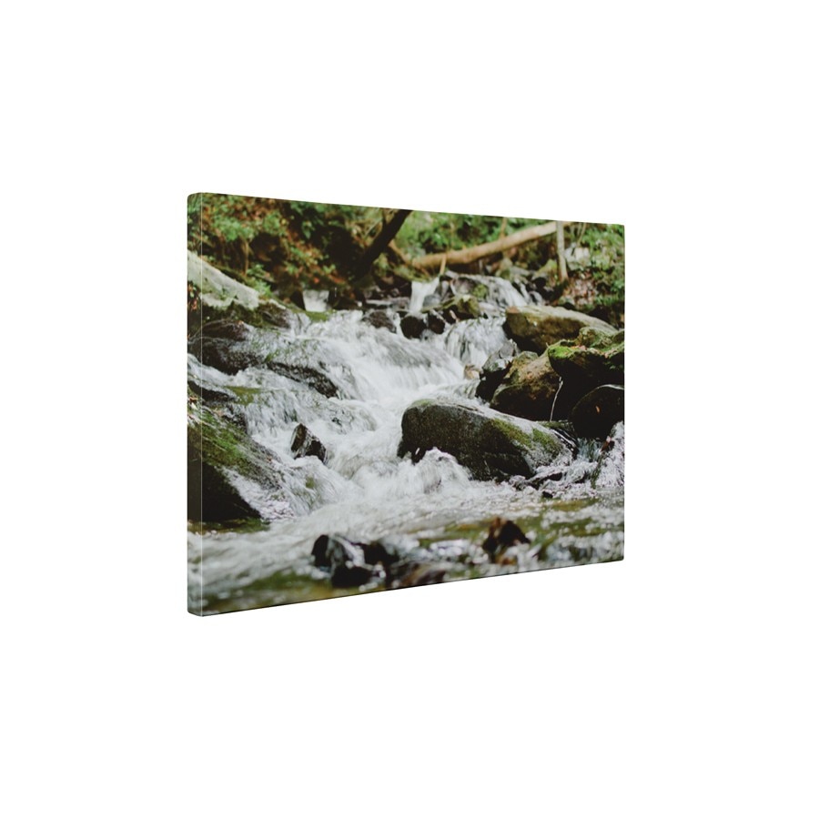 Paraul - Tablou Canvas - 45x60 cm