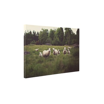 Oi pe camp - Tablou Canvas - 60x75 cm Oi pe camp - Tablou Canvas - 60x75 cm
