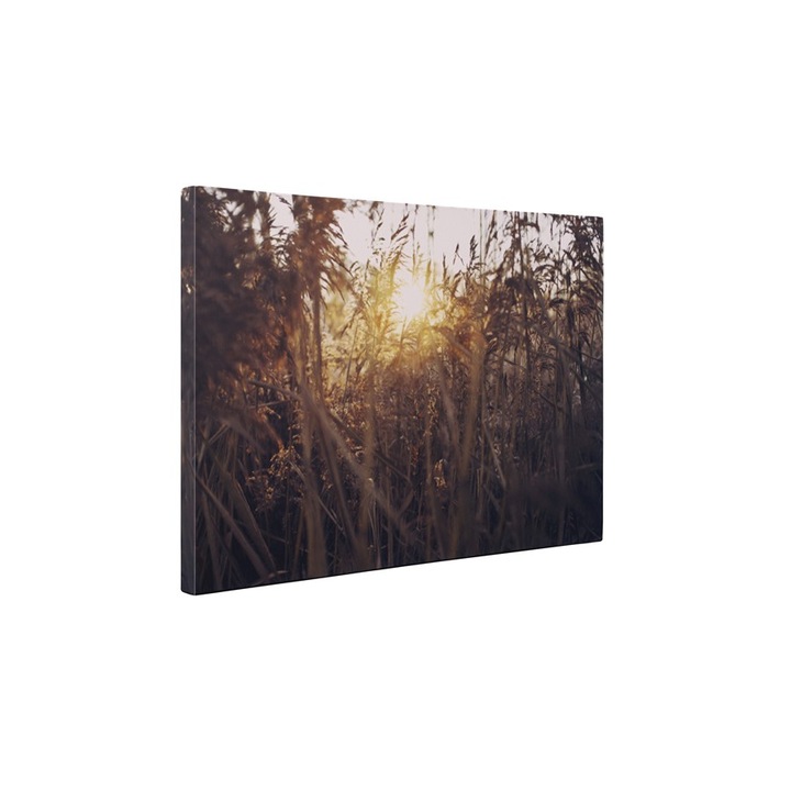 Naplemente és fű - Vászonfestmény - 75x100 cm