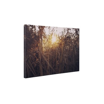 Apus de soare si iarba - Tablou Canvas - 75x100 cm Apus de soare si iarba - Tablou Canvas - 75x100 cm