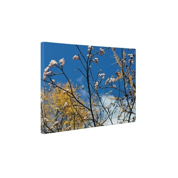 Tufis inflorit - Tablou Canvas - 35x45 cm Tufis inflorit - Tablou Canvas - 35x45 cm