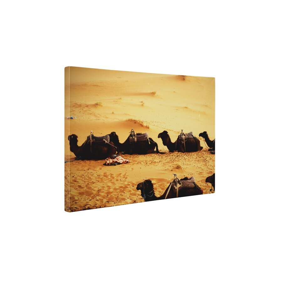 Camile obosite - Tablou Canvas - 25x35 cm