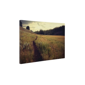 Carare pe camp - Tablou Canvas - 85x110 cm Carare pe camp - Tablou Canvas - 85x110 cm