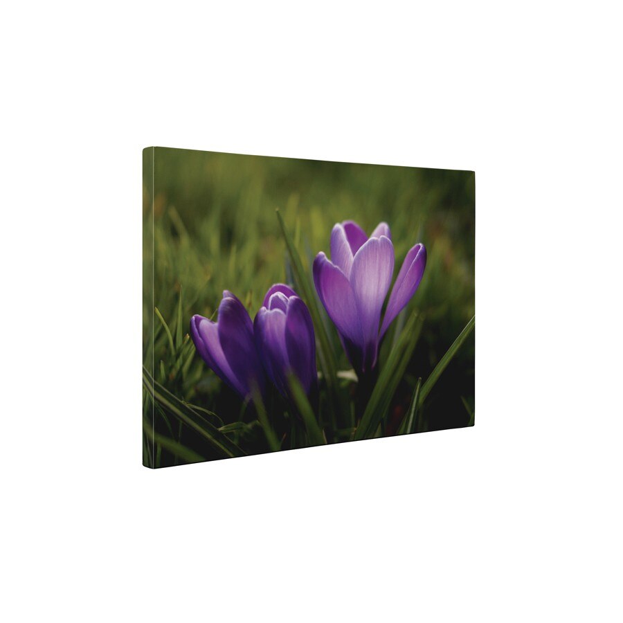 Branduse - Tablou Canvas - 45x60 cm