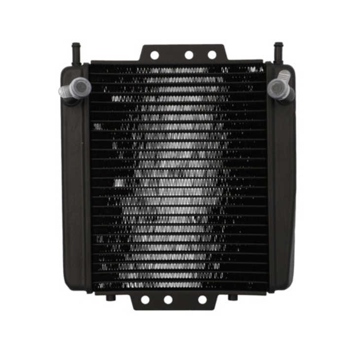 Radiator Piaggio MP3 MX_CGN516993