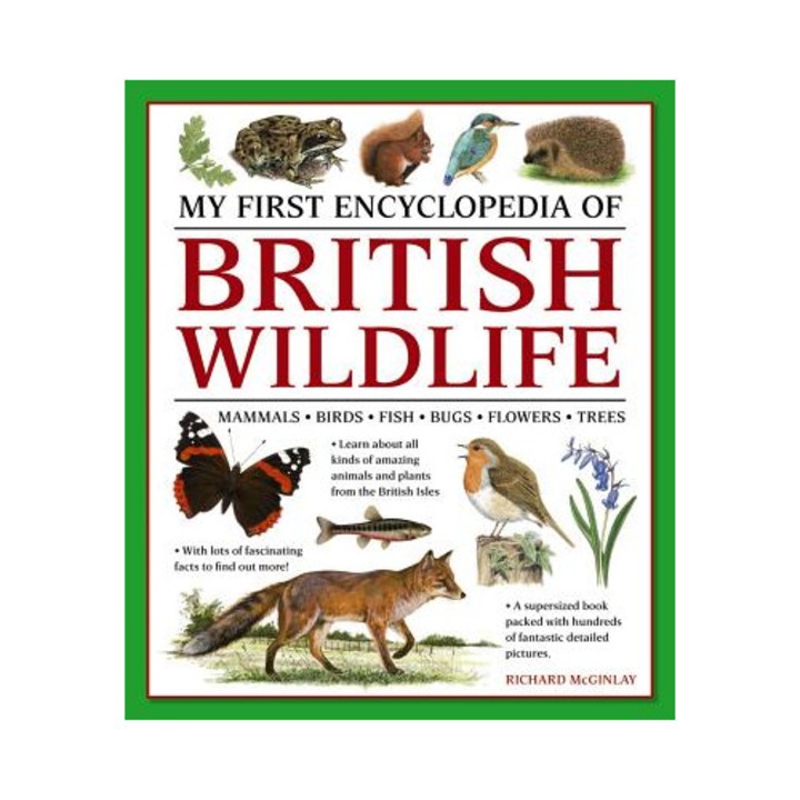 My First Encylopedia Of British Wildlife: Mammals, Birds, Fish, Bugs, Flowers, Trees - Richard Mcginlay