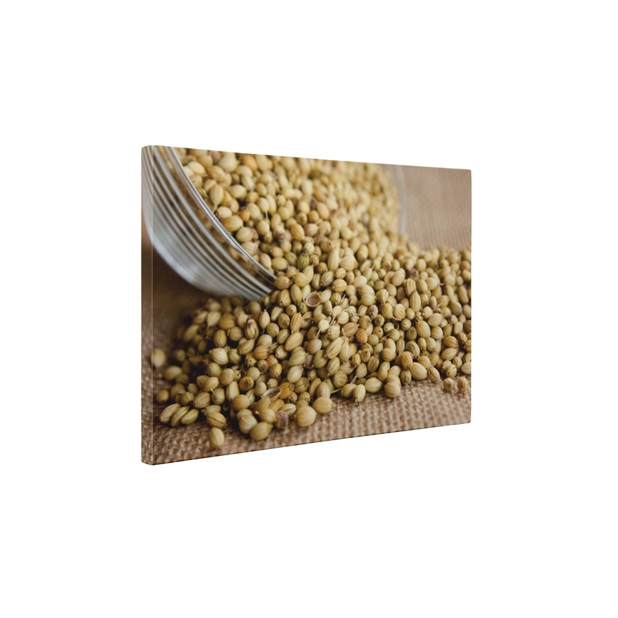 Fistic - Tablou Canvas - 45x60 cm