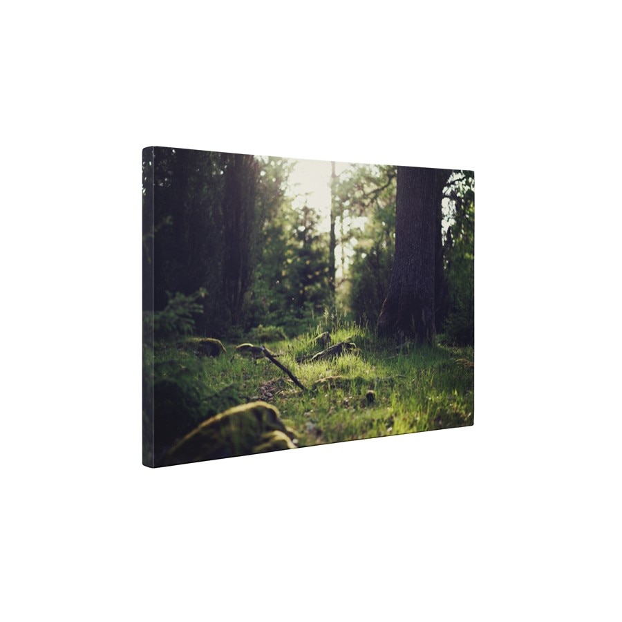 In iarba - Tablou Canvas - 60x75 cm