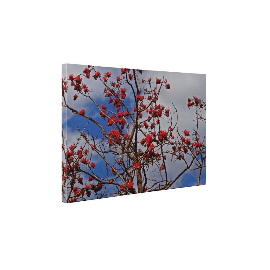 Copacul inflorit - Tablou Canvas - 45x60 cm