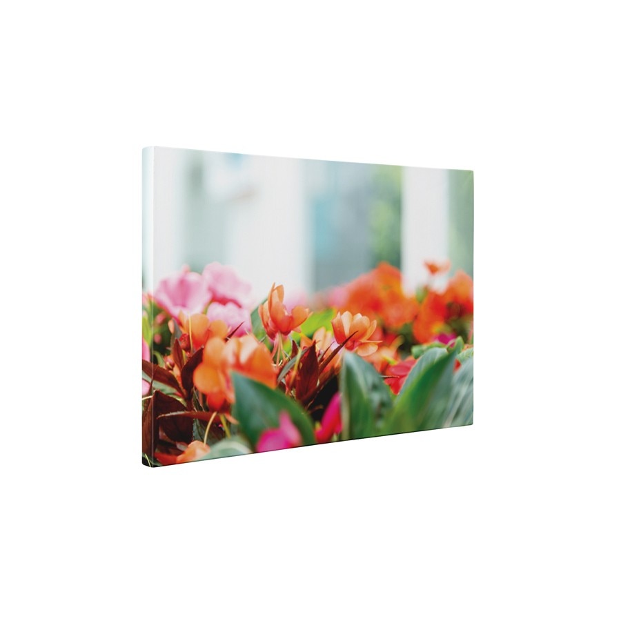 Floricele colorate - Tablou Canvas - 45x60 cm