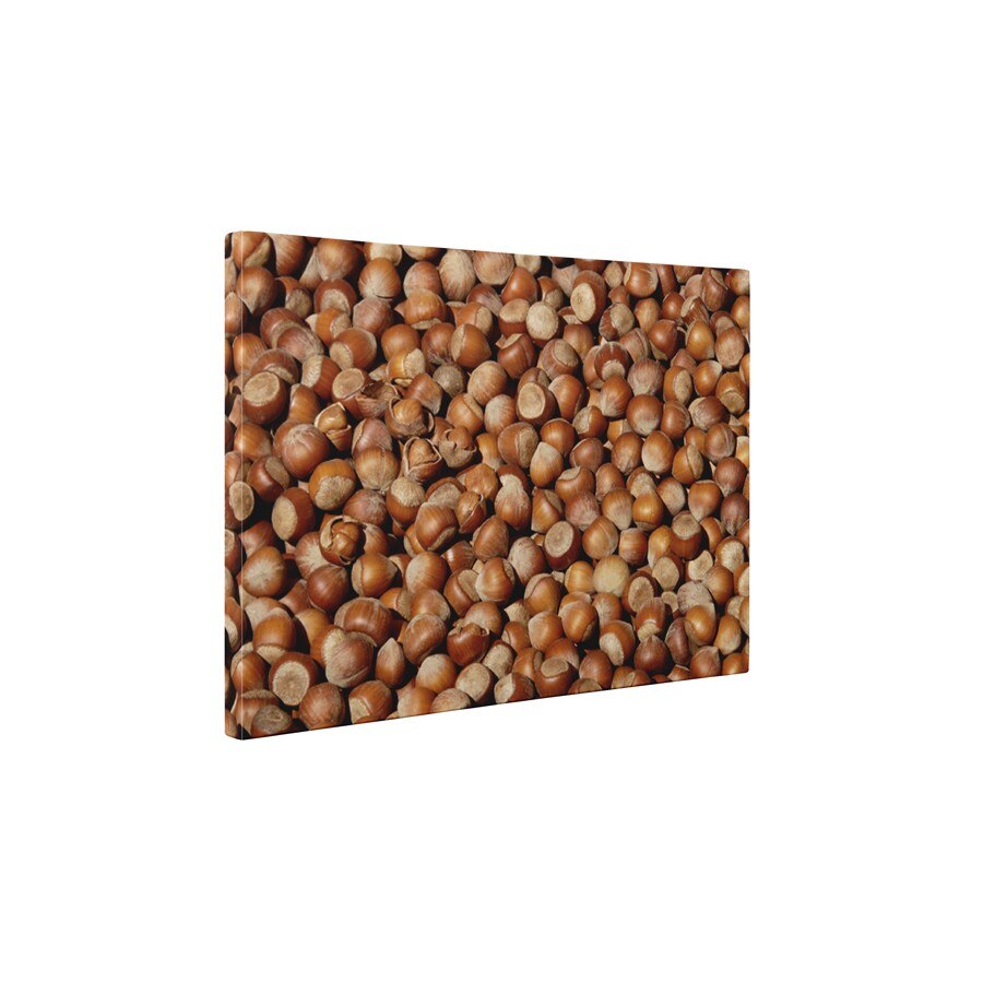 Alune de padure - Tablou Canvas - 60x80 cm