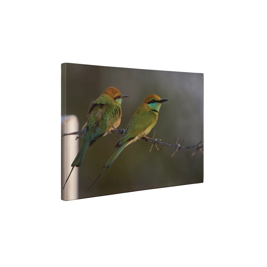 Prigorii - Tablou Canvas - 60x75 cm