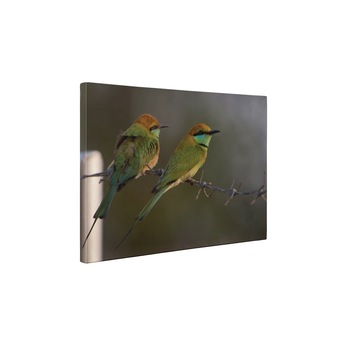 Prigorii - Tablou Canvas - 25x35 cm Prigorii - Tablou Canvas - 25x35 cm