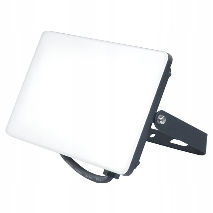 Reflector LED 50W DIOLED, 4250lm, aluminiu, IP65