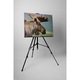 Renul - Tablou Canvas - 45x60 cm