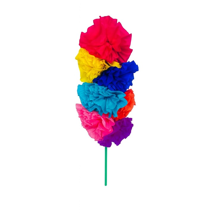 Sorcova Multicolora