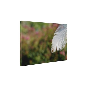 Pana alba - Tablou Canvas - 65x85 cm Pana alba - Tablou Canvas - 65x85 cm