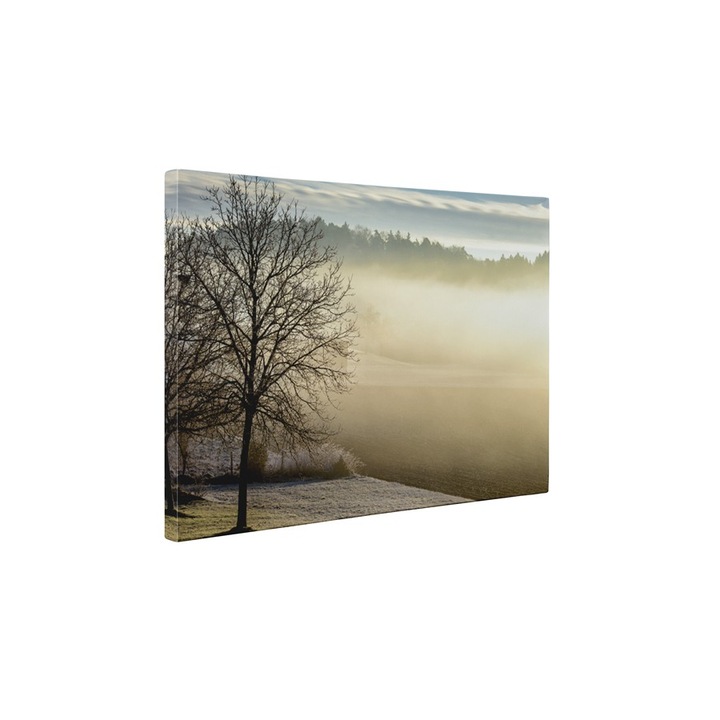 Rasarit de soare - Tablou Canvas - 60x80 cm