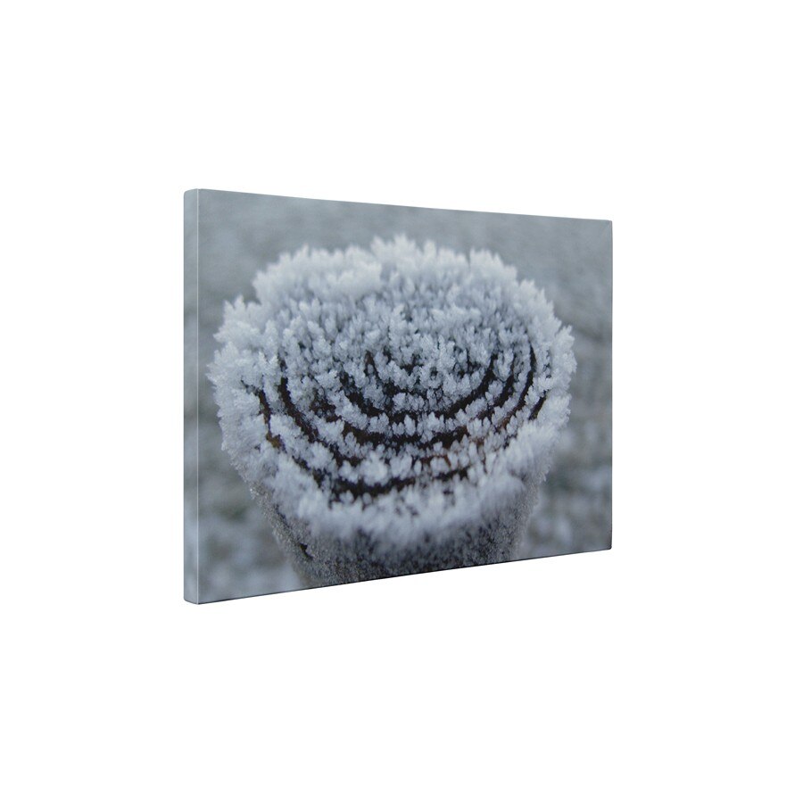 Gerul - Tablou Canvas - 45x60 cm