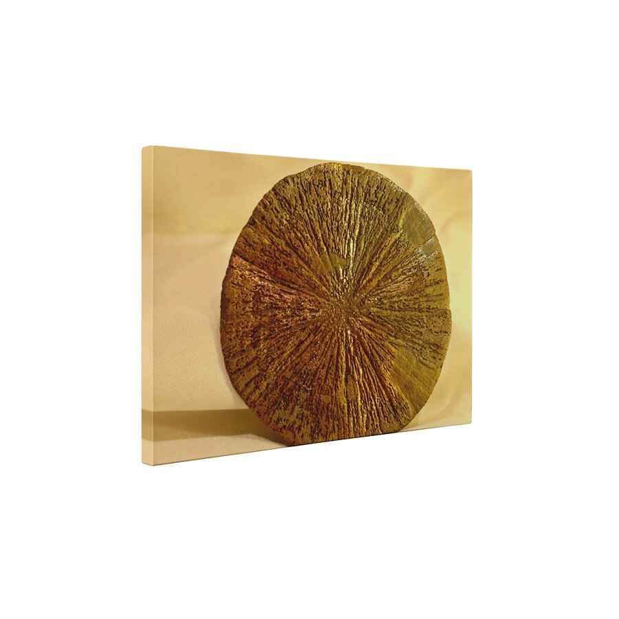 Sulfura de fier - pirita - Tablou Canvas - 45x60 cm