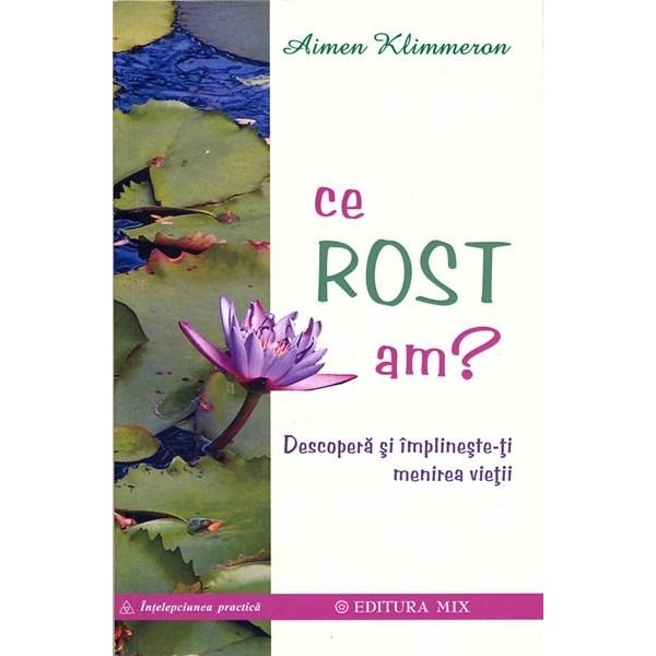 Ce ROST am? - Aimen Klimmeron