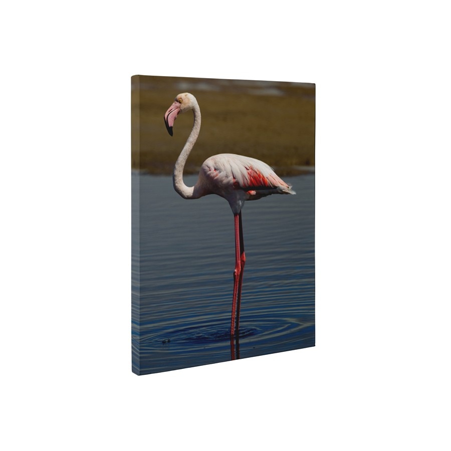 Flamingo singuratic - Tablou Canvas - 60x75 cm