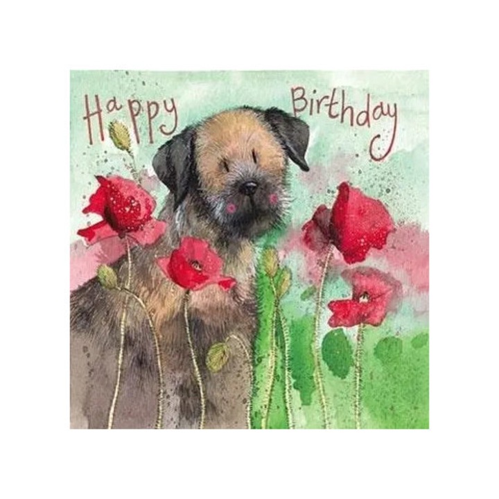 Felicitare, Alex Clark, Urodziny Pies border si maci, set, fara text, cu envelopa kraft maro