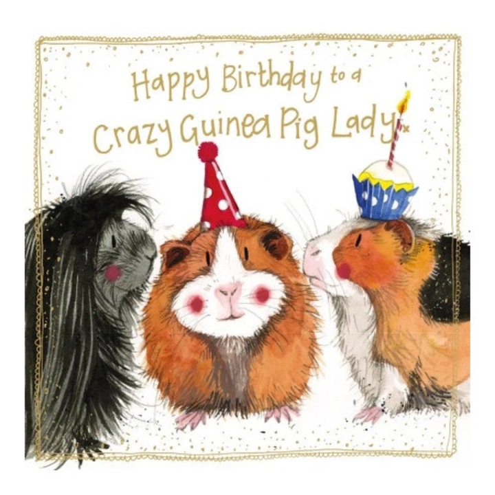 Felicitare, Alex Clark, Urodziny, set, 160x160mm, multicolor