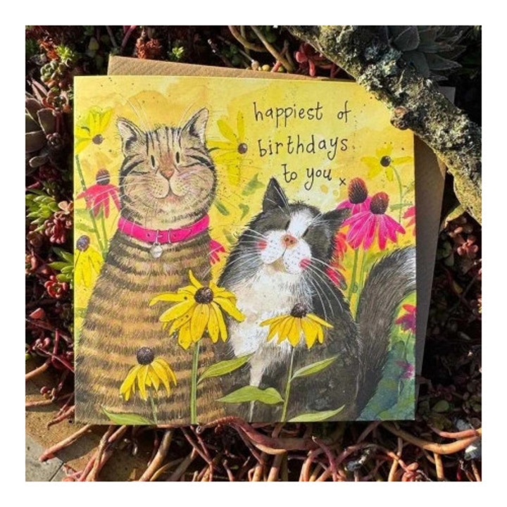 Felicitari, Alex Clark, Karnet Urodziny 2 pisici in flori, set, marime standard