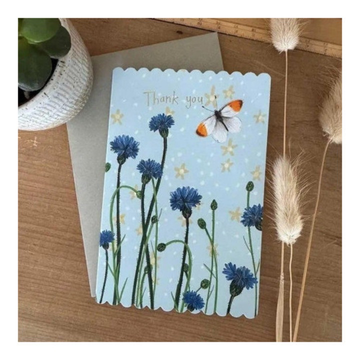 Felicitare Alex Clark, Motyl si chabri, fara text, set cu plic