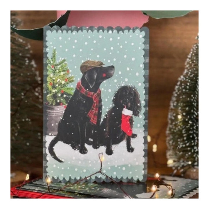 Felicitare, Alex Clark, Craciun, caini langa brad, set