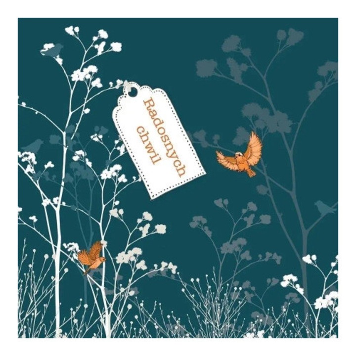 Felicitare Clear Creations kwadrat CL3402, cu cristale Swarovski, fara text, 10x10cm