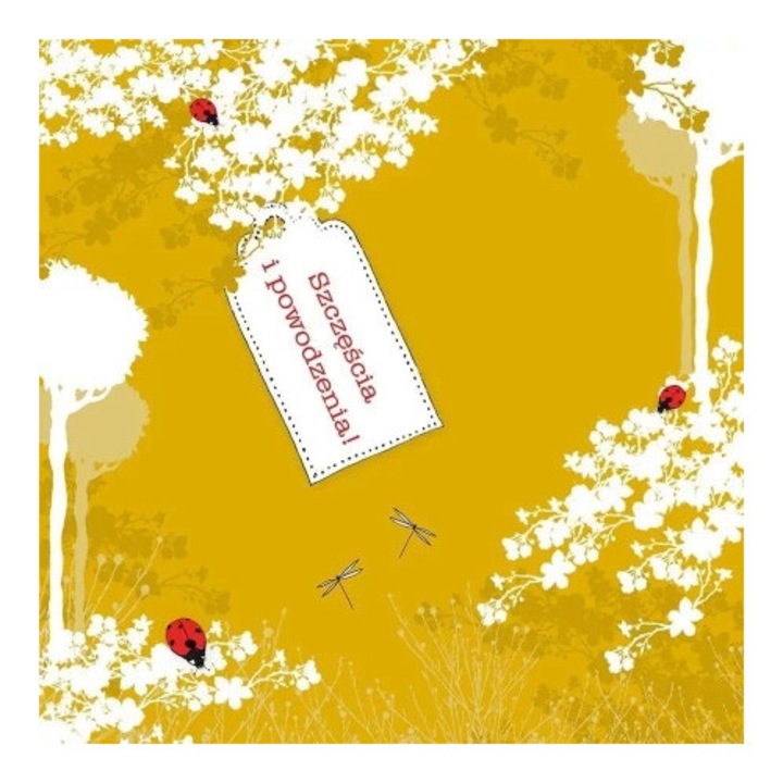 Felicitare Clear Creations, karnet fara text, cu cristale Swarovski, 10x10cm