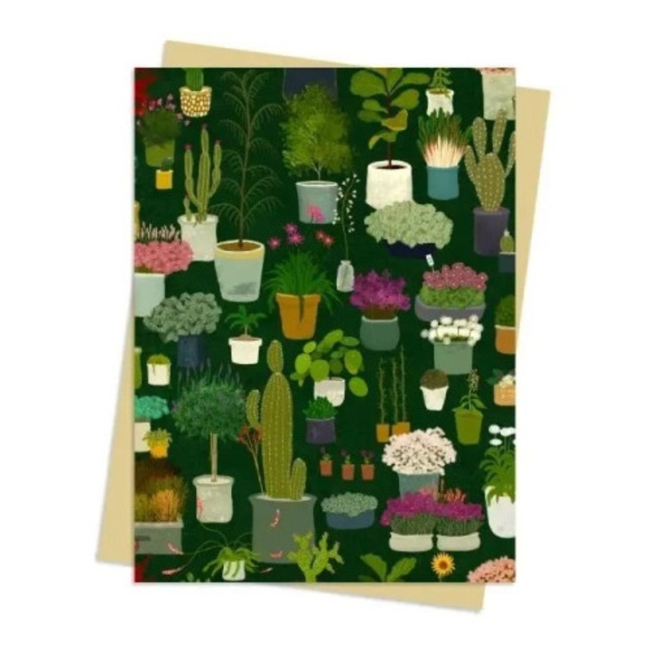 Felicitare Karnet B6 Kwiaty w doniczkach Katherine Quinn, Flame Tree