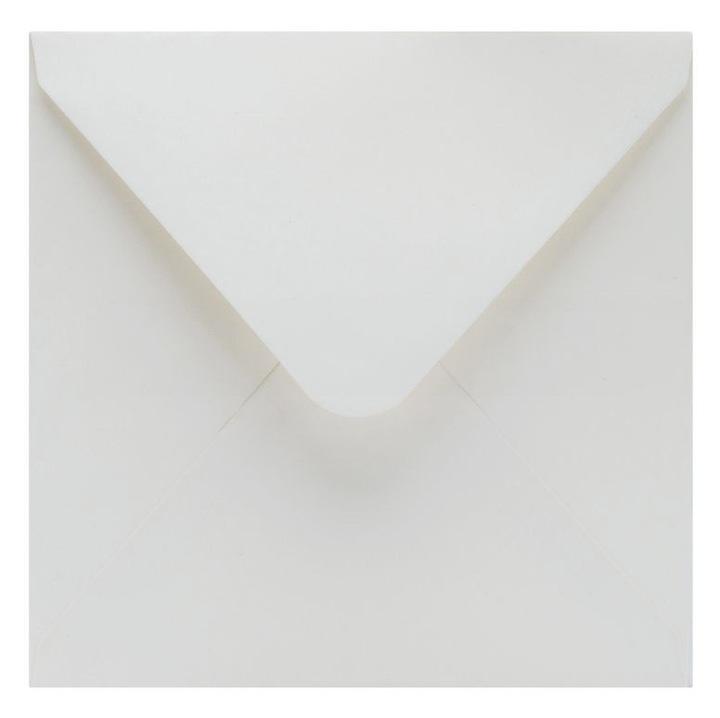 Set Plicuri Decorative, Neopac, Gramaj 120 G/M², Executat Din Hartie, Metoda De Inchidere Cu Lipici, Calitate Inalta, 165 X 165 Mm, Fildes, 50 Buc