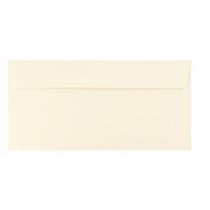 Set Plicuri Decorative, Neaparat, Format Dl, Gramaj 120 G/M², Executate Din Hartie, Metoda De Inchidere Autocolanta, Calitate Inalta, 110 X 220 Mm, Fildes, 50 Buc