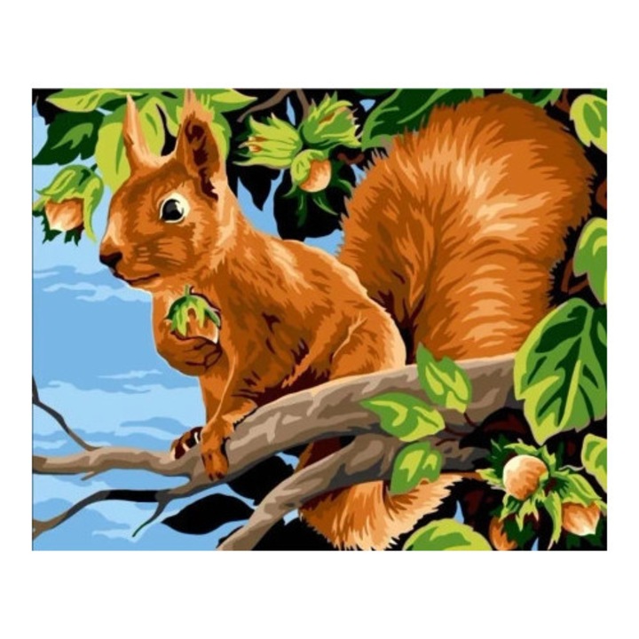 Set de pictura pe numere Koh-I-Noor, 40x50cm, 24 culori, 3 pensule