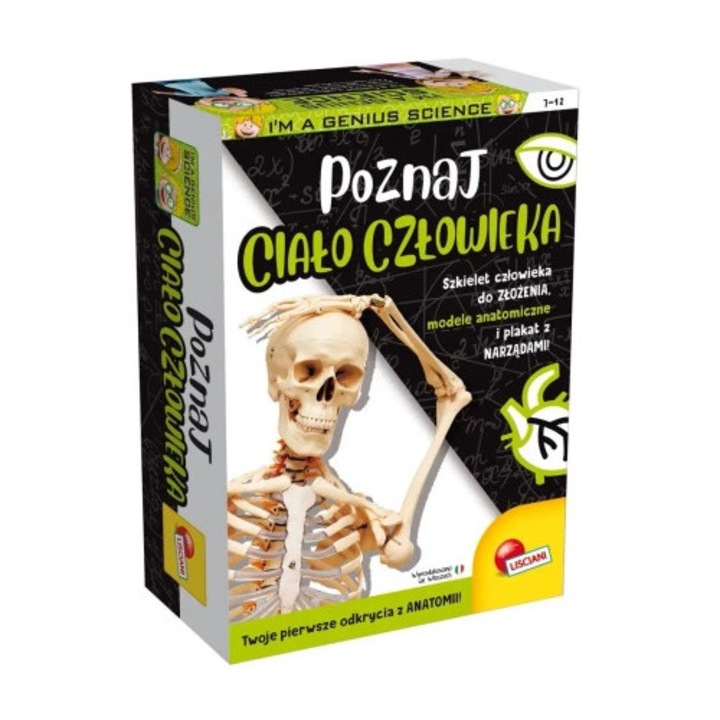 Set educativ Lisciani - model schelet, 4 modele anatomice, poster, multicolor