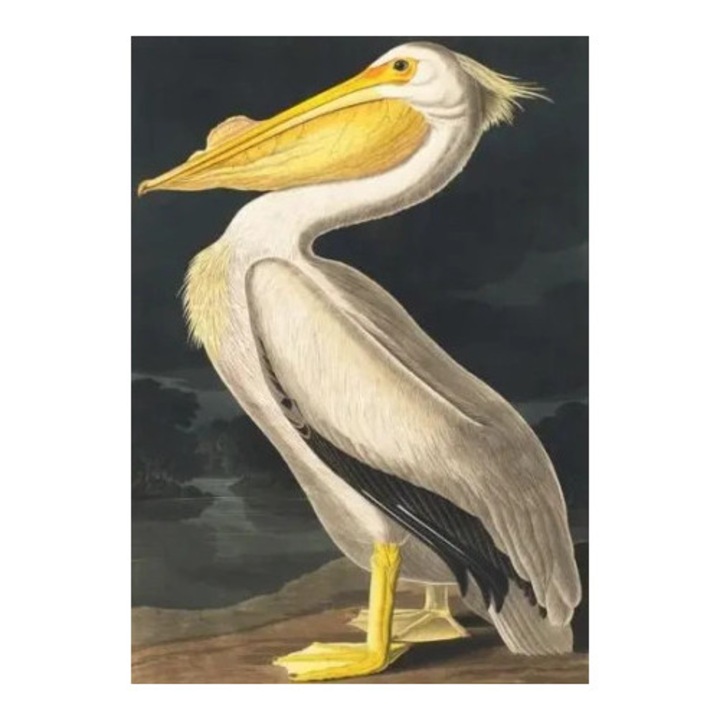 Felicitare B6, Madame Treacle, 125x175mm, hartie Fenner Omnia Natural, cu envelopa crema