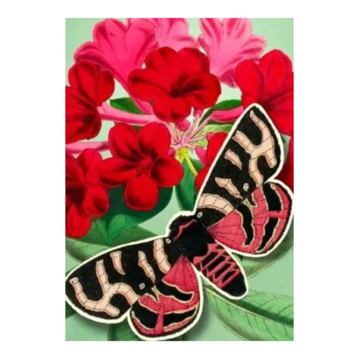 Felicitare B6 POP-UP cu coperta, Madame Treacle, fluture rosu, fara text