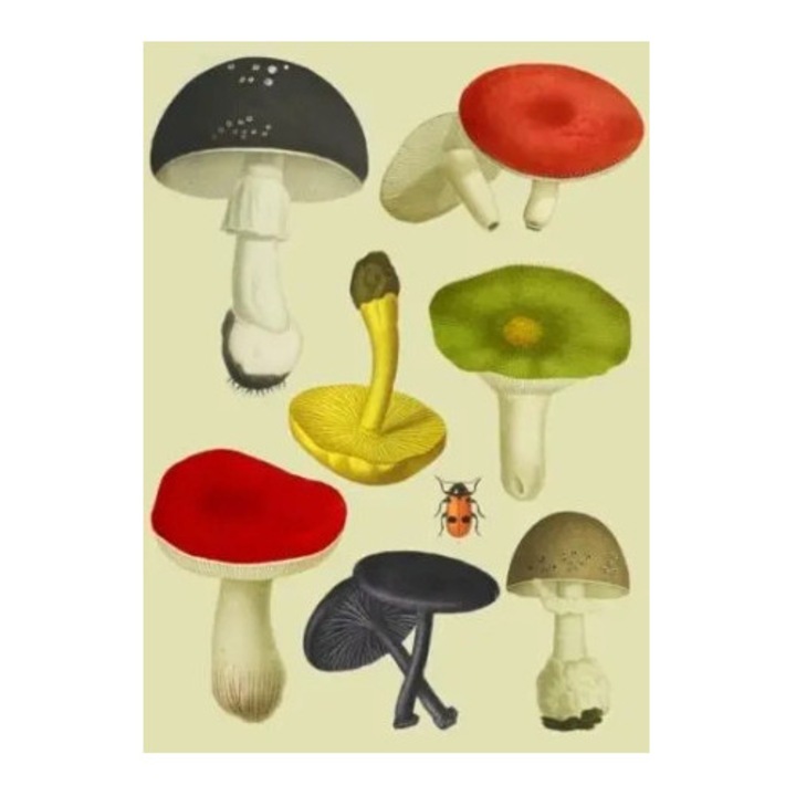 Felicitare B6 cu envelopa, Madame Treacle, hartie Fenner Omnia Natural, 125x175mm, textura delicata