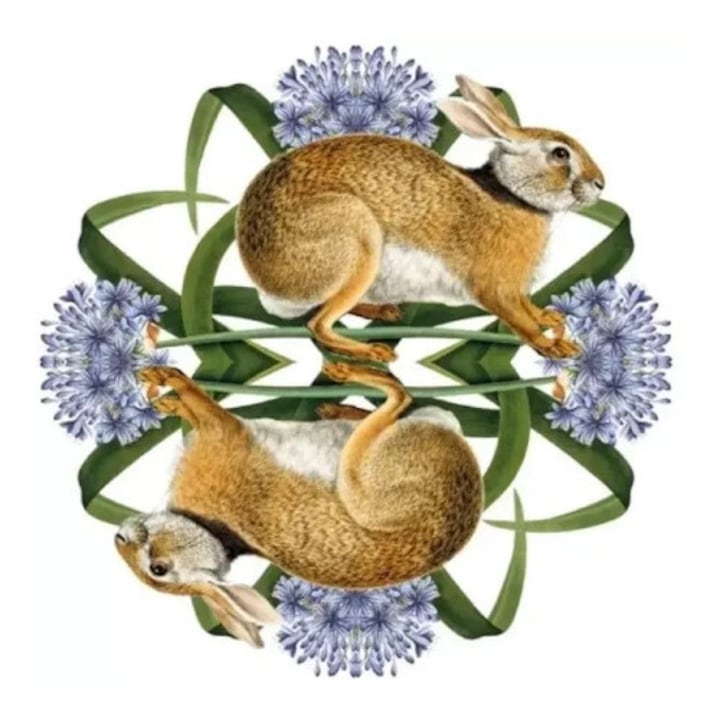 Felicitare set, Museums & Galleries, Karnet kwadrat European Brown Hare, multicolor, 15x15cm